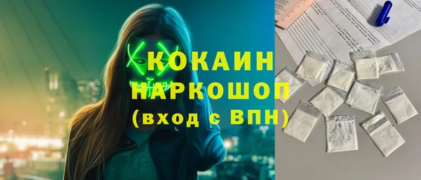 твердый Долгопрудный