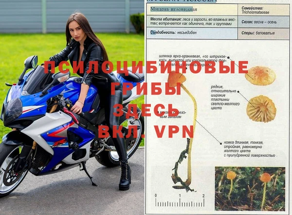 твердый Михайловка