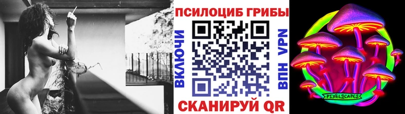 даркнет как зайти  хочу   Елизаветинская  Галлюциногенные грибы мицелий 