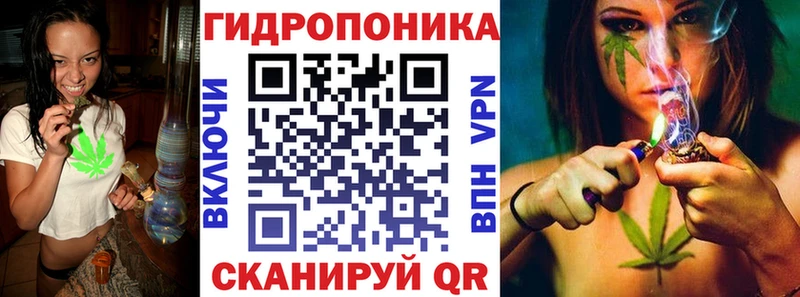 Каннабис семена  наркошоп  ссылка на мегу сайт  Елизаветинская 